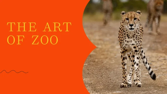 Art of Zoo